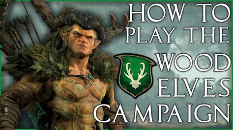How to Play The Wood Elf Campaign .